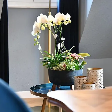 Envole Moi Vers La Lune - 4 Guests - 2 Bedroom - * Colmar